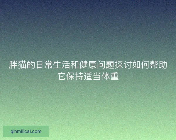 胖猫的日常生活和健康问题探讨如何帮助它保持适当体重