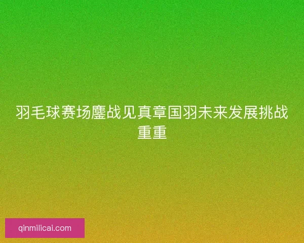 羽毛球赛场鏖战见真章国羽未来发展挑战重重