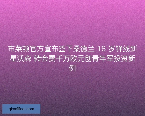 布莱顿官方宣布签下桑德兰 18 岁锋线新星沃森 转会费千万欧元创青年军投资新例
